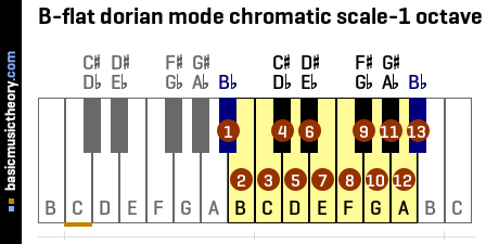 B-flat dorian mode chromatic scale-1 octave