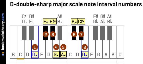 D-double-sharp major scale note interval numbers