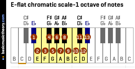 E-flat chromatic scale-1 octave of notes